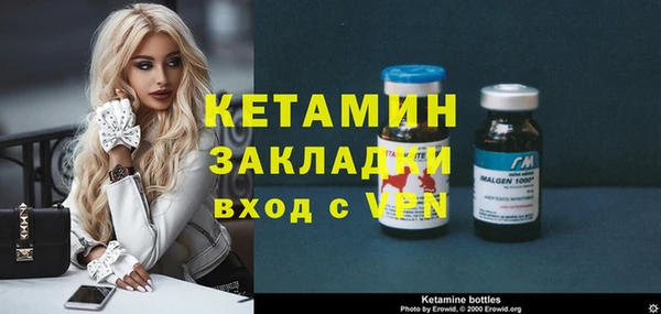 стаф Алзамай