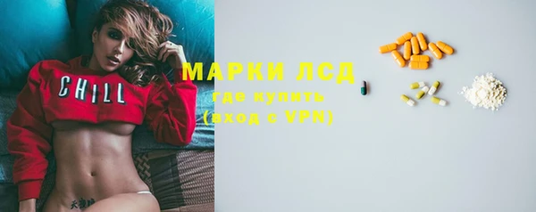 стаф Алзамай