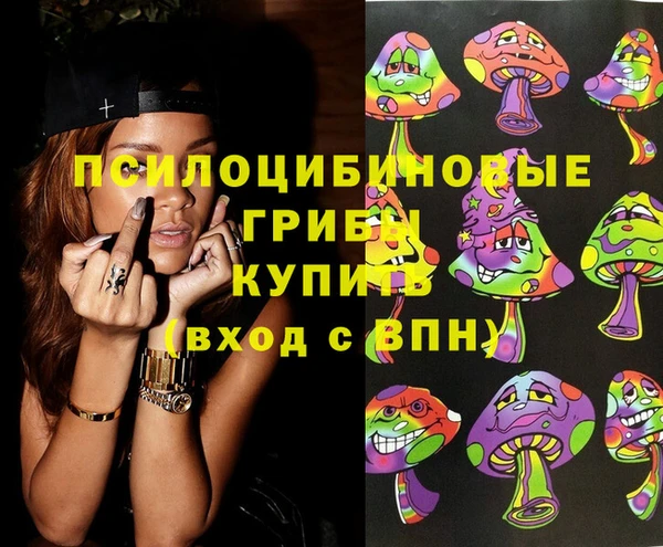 стаф Алзамай