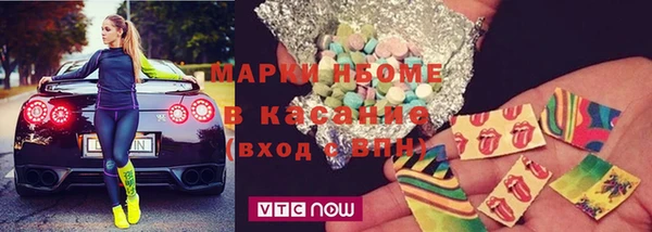 стаф Алзамай