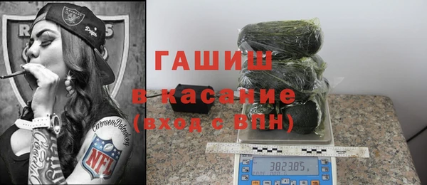 стаф Алзамай