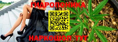 крисы Вязьма