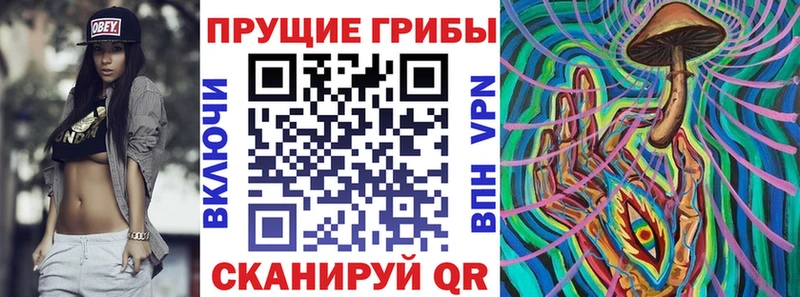 OMG сайт  Большой Камень  Псилоцибиновые грибы Psilocybe 