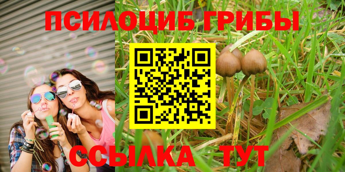 Галлюциногенные грибы Cubensis Большой Камень