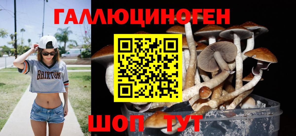 Большой Камень  Псилоцибиновые грибы Psilocybine cubensis  Галлюциногенные грибы GOLDEN TEACHER  Вход с VPN 